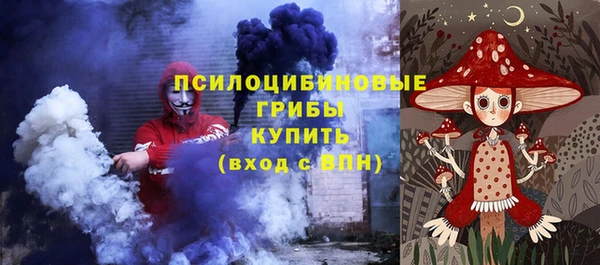 apvp Аркадак