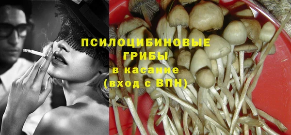 apvp Аркадак