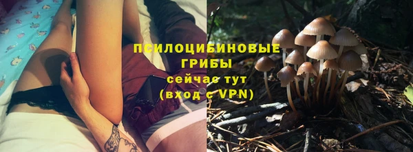 apvp Аркадак