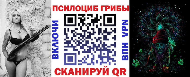 OMG как войти Теберда Галлюциногенные грибы Psilocybe цена